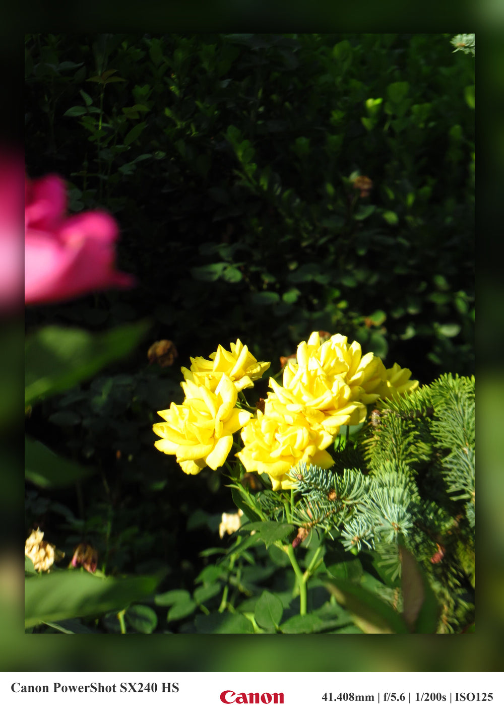 Shot on Canon SX240HS