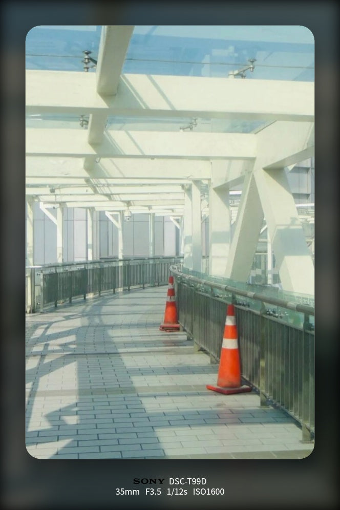 Shot on Sony DSC-T99D