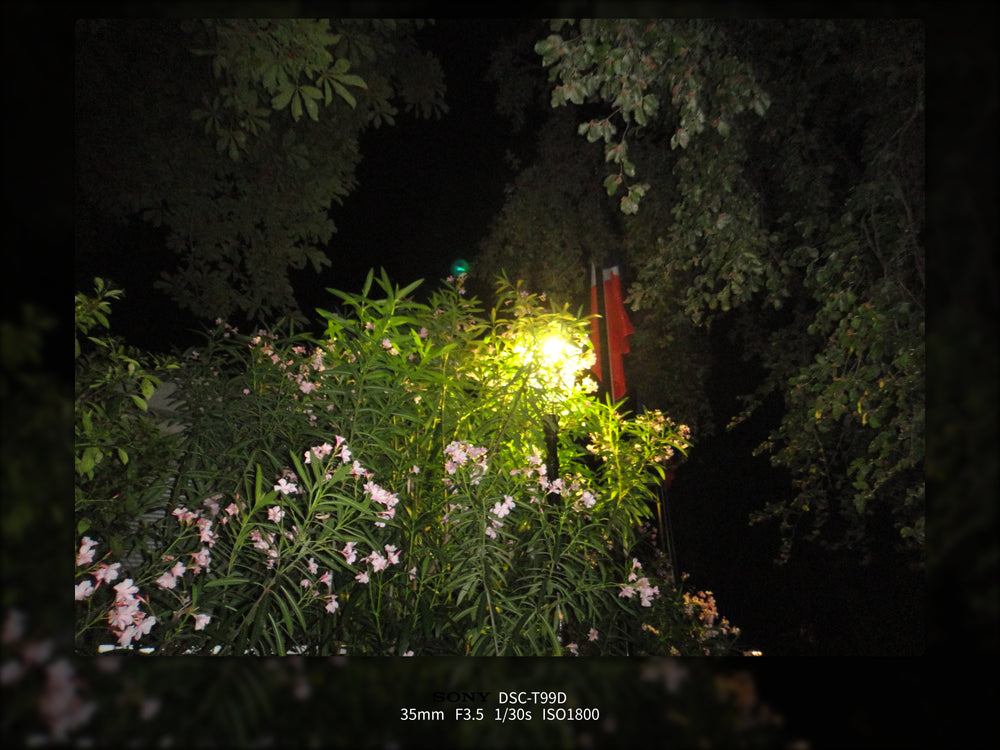 Shot on Sony DSC-T99D