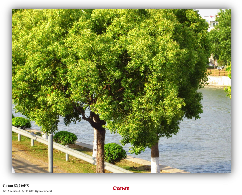 Shot on Canon SX240HS
