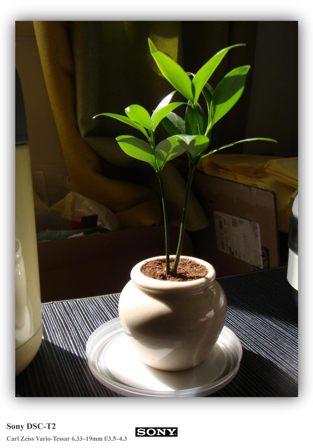 Shot on Sony DSC-T2