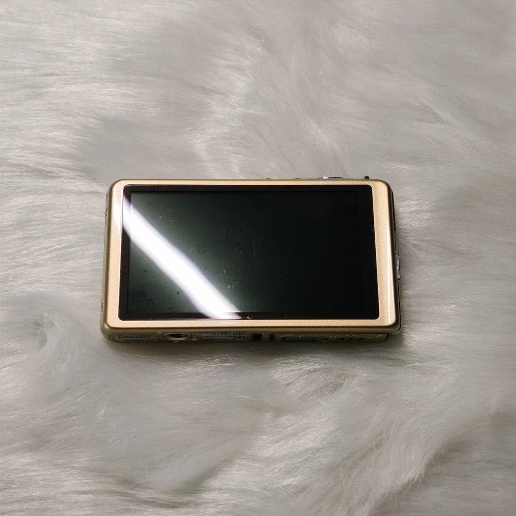 Lumix DMC-FX77