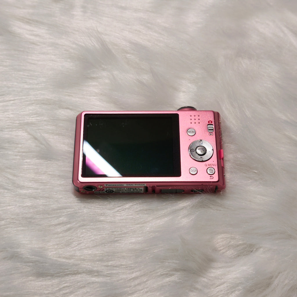 Lumix DMC-FH5
